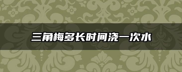 三角梅多长时间浇一次水