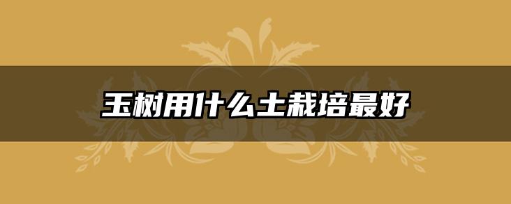 玉树用什么土栽培最好