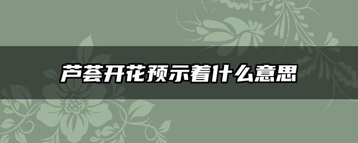 芦荟开花预示着什么意思