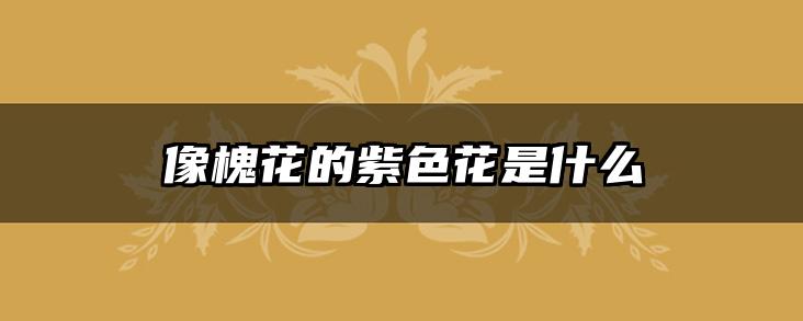 像槐花的紫色花是什么