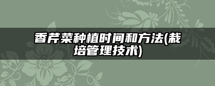 香芹菜种植时间和方法(栽培管理技术)