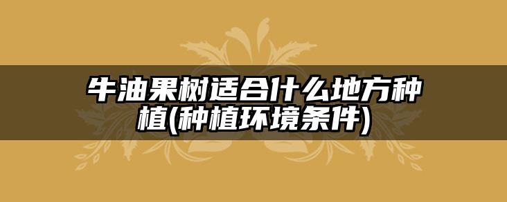 牛油果树适合什么地方种植(种植环境条件)