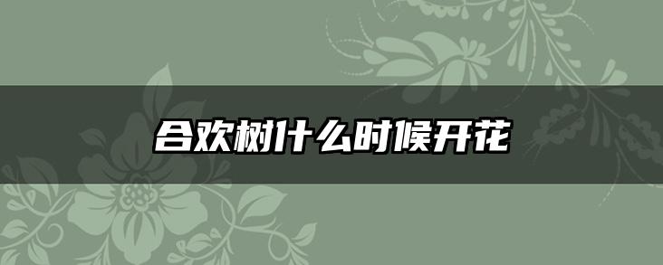 合欢树什么时候开花