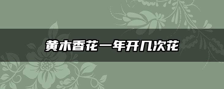 黄木香花一年开几次花