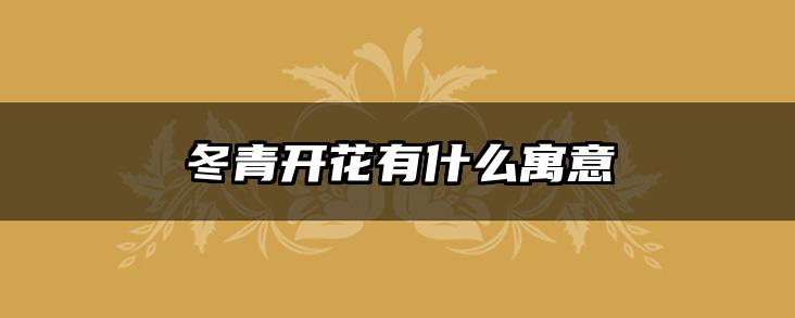 冬青开花有什么寓意