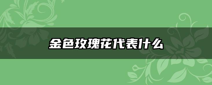 金色玫瑰花代表什么