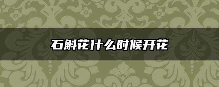 石斛花什么时候开花