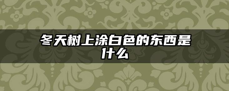冬天树上涂白色的东西是什么