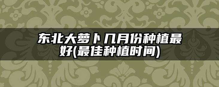 东北大萝卜几月份种植最好(最佳种植时间)