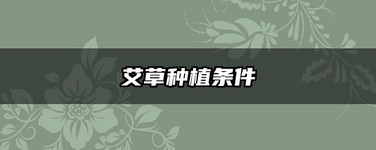 艾草种植条件