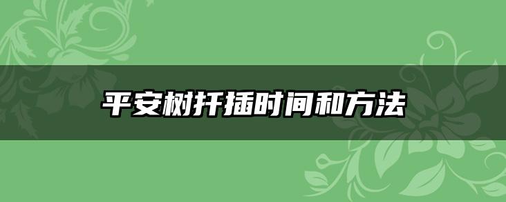 平安树扦插时间和方法