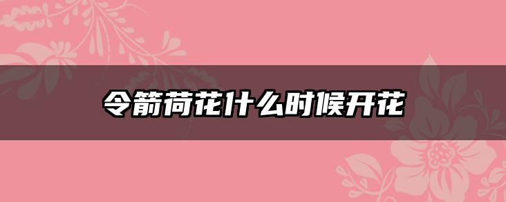 令箭荷花什么时候开花