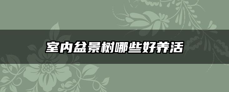 室内盆景树哪些好养活