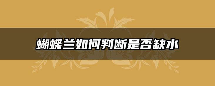 蝴蝶兰如何判断是否缺水