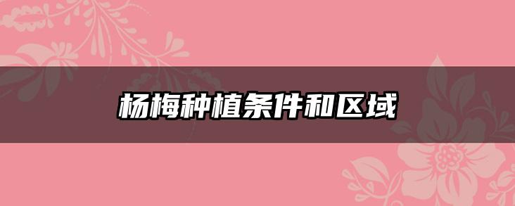杨梅种植条件和区域
