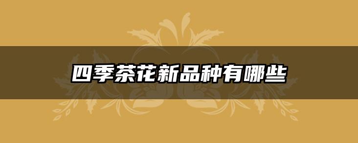 四季茶花新品种有哪些