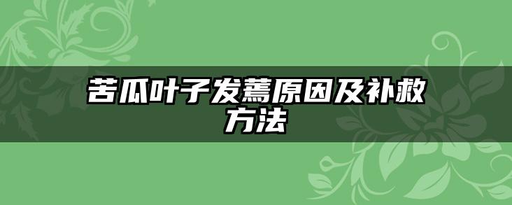 苦瓜叶子发蔫原因及补救方法
