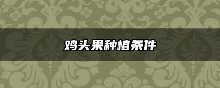 鸡头果种植条件