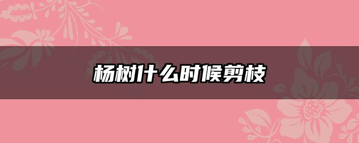 杨树什么时候剪枝