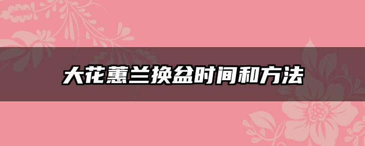 大花蕙兰换盆时间和方法