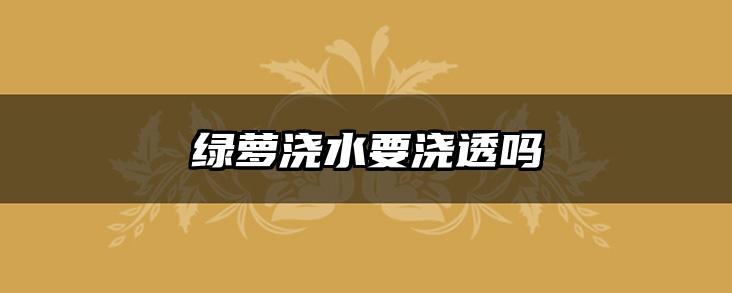 绿萝浇水要浇透吗