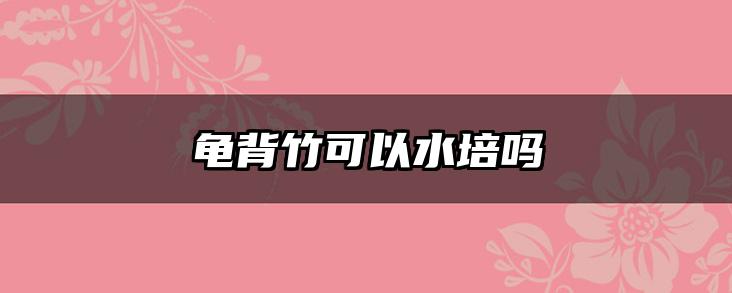 龟背竹可以水培吗