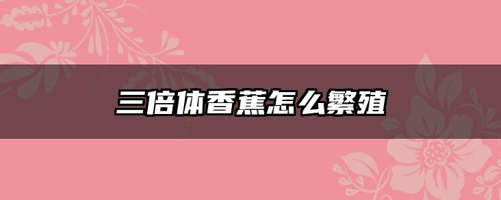 三倍体香蕉怎么繁殖
