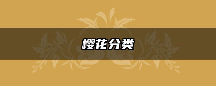 樱花分类