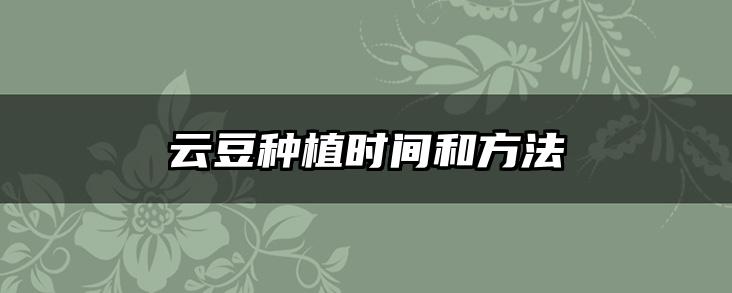 云豆种植时间和方法