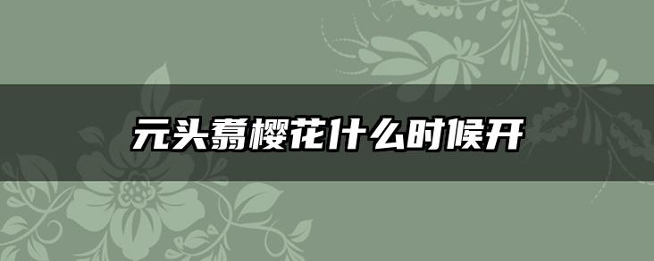 元头翥樱花什么时候开