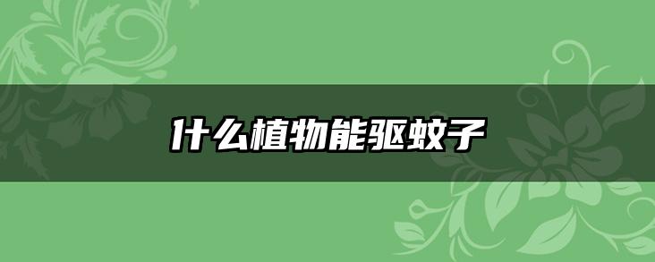 什么植物能驱蚊子