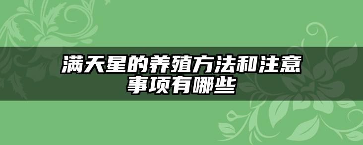 满天星的养殖方法和注意事项有哪些