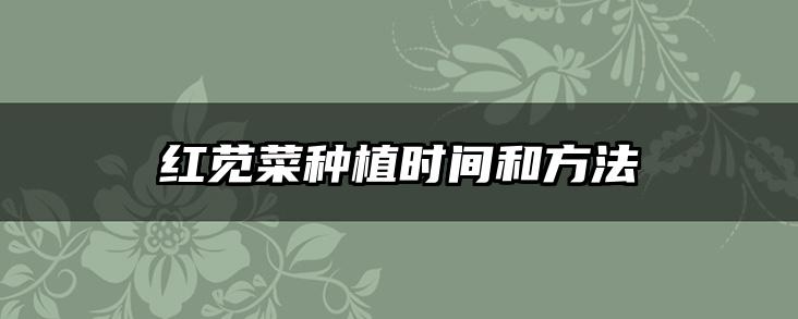 红苋菜种植时间和方法