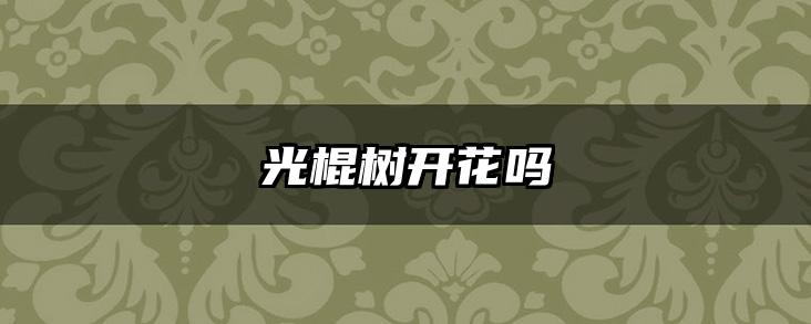 光棍树开花吗