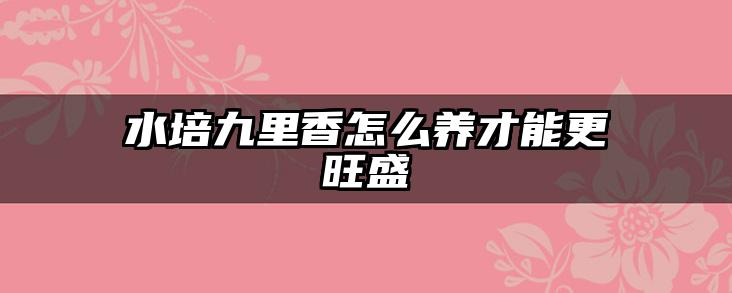 水培九里香怎么养才能更旺盛
