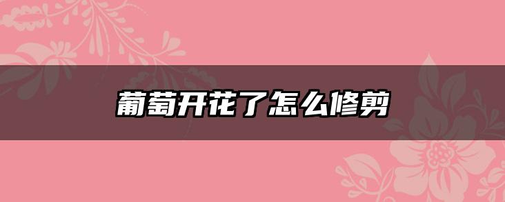 葡萄开花了怎么修剪