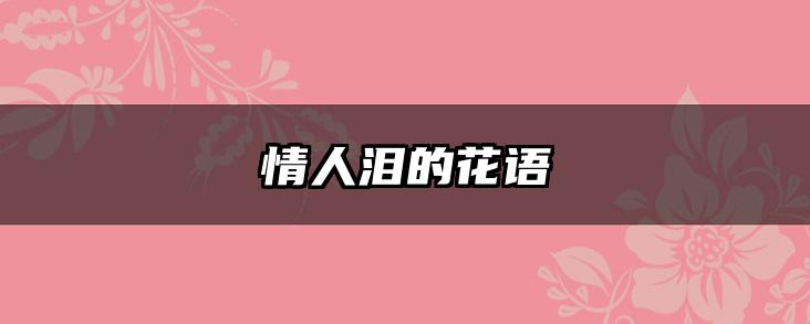 情人泪的花语