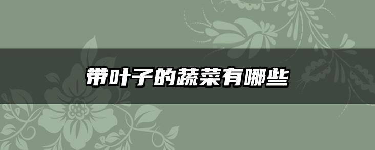 带叶子的蔬菜有哪些