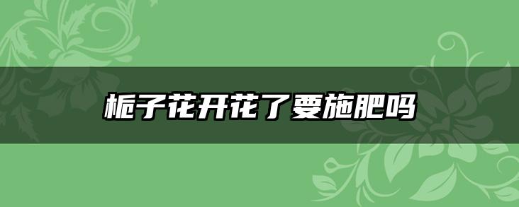 栀子花开花了要施肥吗