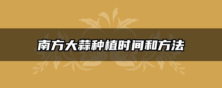 南方大蒜种植时间和方法