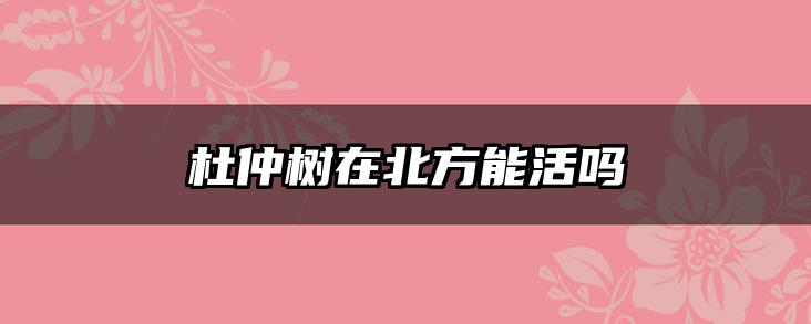 杜仲树在北方能活吗