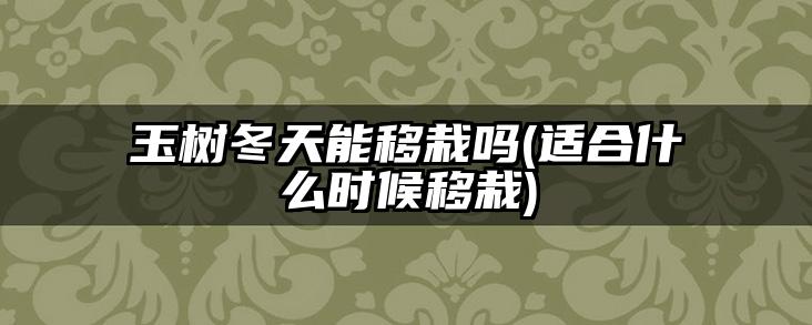 玉树冬天能移栽吗(适合什么时候移栽)