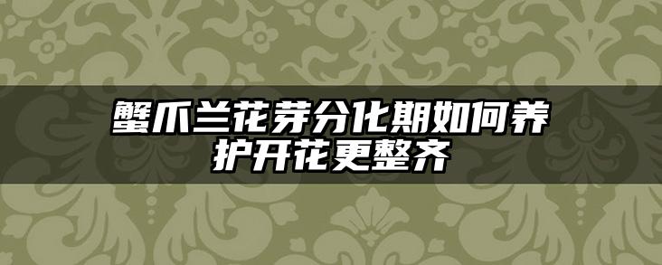 蟹爪兰花芽分化期如何养护开花更整齐