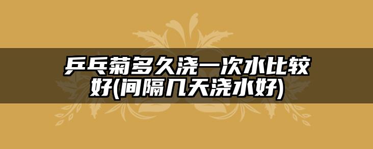 乒乓菊多久浇一次水比较好(间隔几天浇水好)