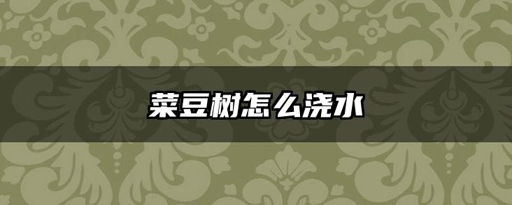 菜豆树怎么浇水