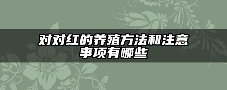 对对红的养殖方法和注意事项有哪些