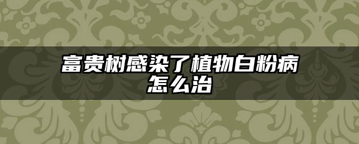 富贵树感染了植物白粉病怎么治