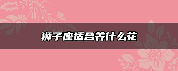 狮子座适合养什么花