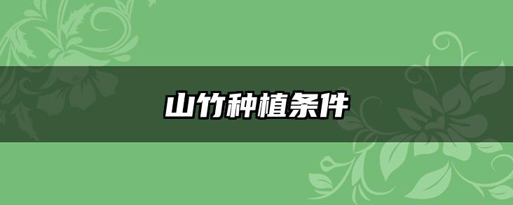 山竹种植条件