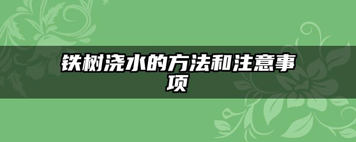 铁树浇水的方法和注意事项